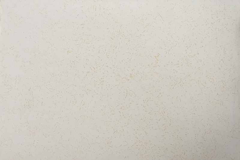 米易金色仙本那